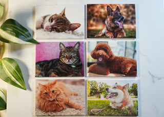 Custom Rectangle Photo Magnet Sets